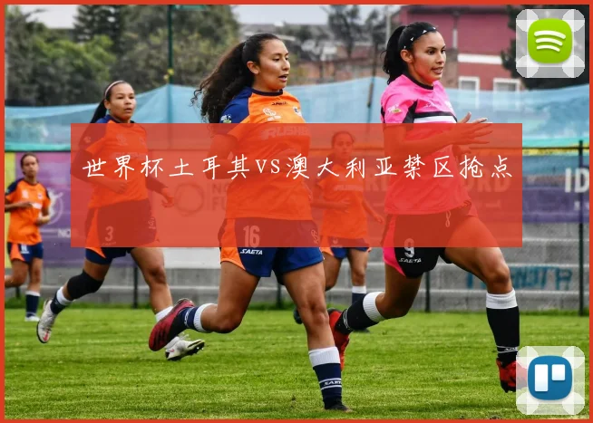 世界杯土耳其vs澳大利亚禁区抢点