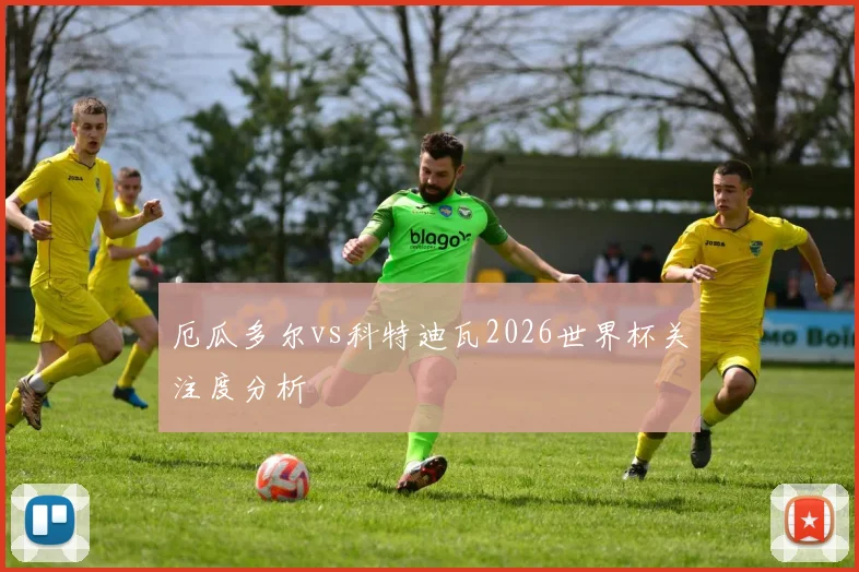 厄瓜多尔vs科特迪瓦2026世界杯关注度分析