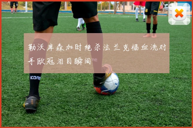 勒沃库森加时绝杀法兰克福血洗对手欧冠泪目瞬间