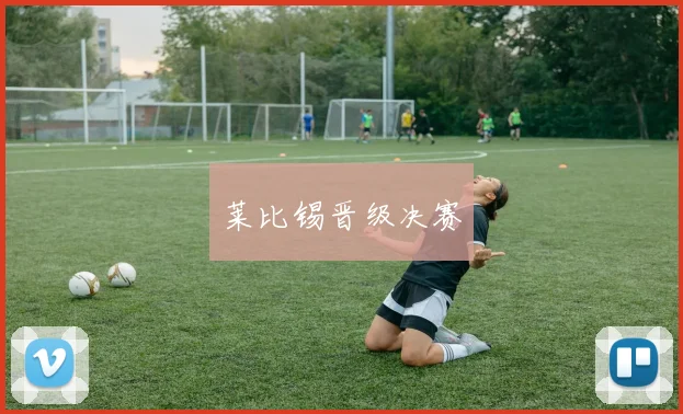 莱比锡晋级决赛