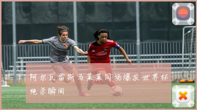 阿尔瓦雷斯马莱莱同场爆发世界杯绝杀瞬间