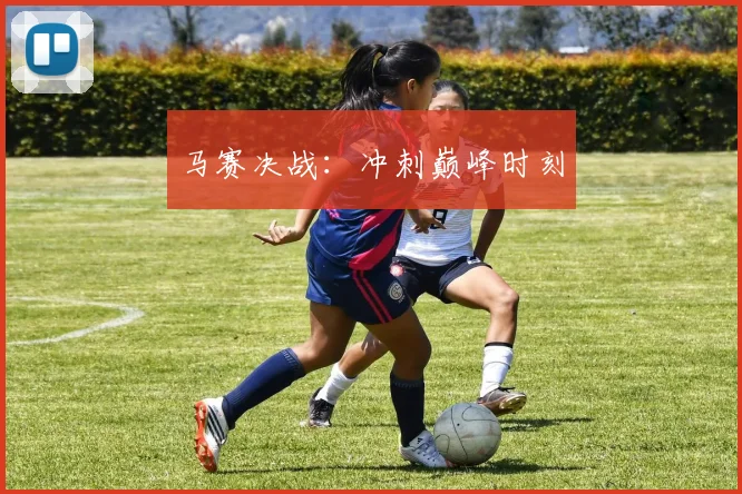 马赛决战：冲刺巅峰时刻