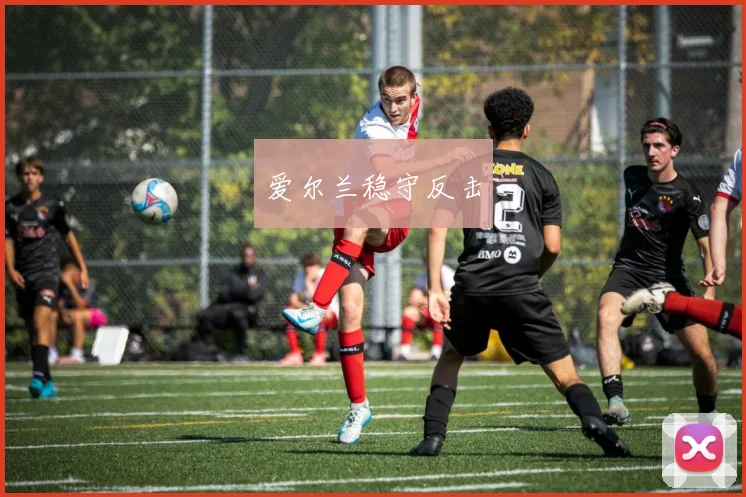 爱尔兰稳守反击