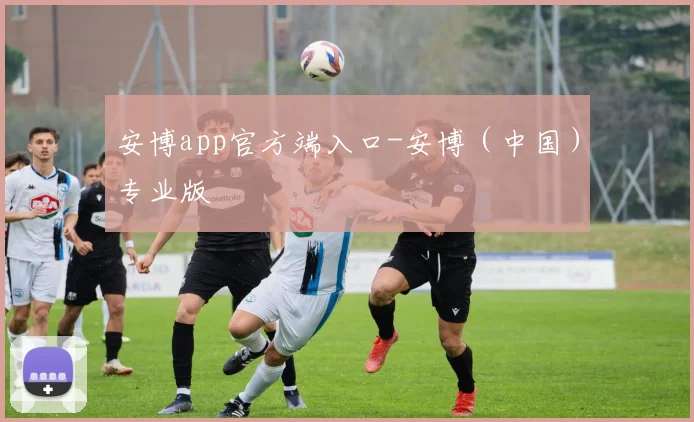 安博app官方端入口-安博（中国）专业版