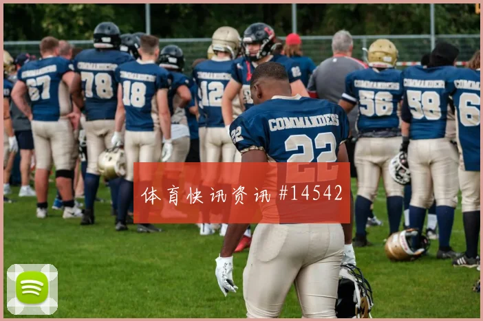 世界杯土耳其vs澳大利亚禁区抢点