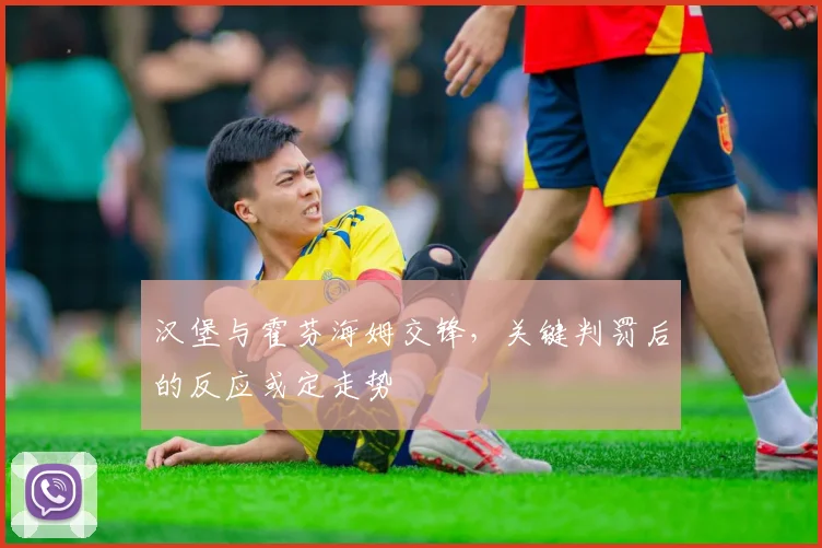 汉堡与霍芬海姆交锋,关键判罚后的反应或定走势