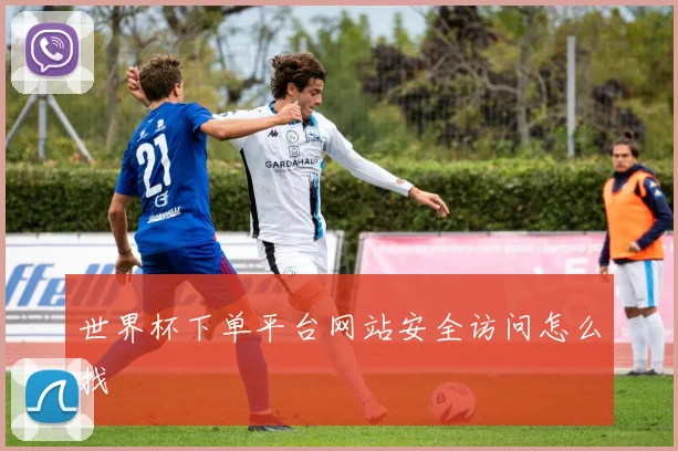 世界杯下单平台网站安全访问怎么找