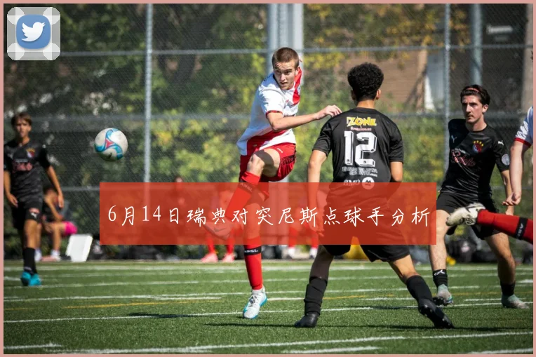6月14日瑞典对突尼斯点球手分析