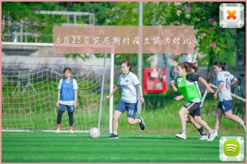 6月25日突尼斯对荷兰实力对比
