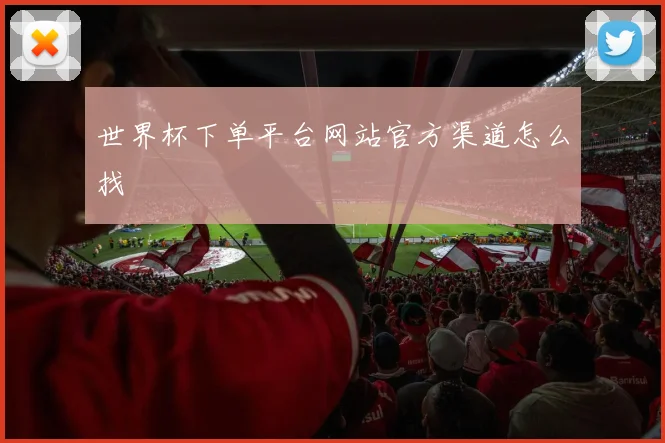 世界杯下单平台网站官方渠道怎么找
