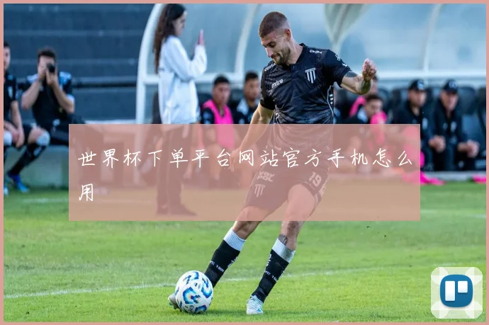 世界杯下单平台网站官方手机怎么用