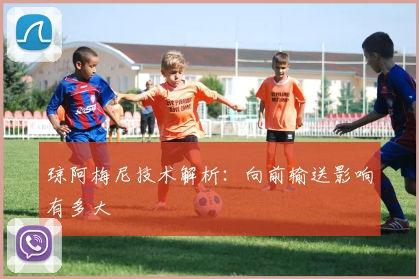 琼阿梅尼技术解析：向前输送影响有多大